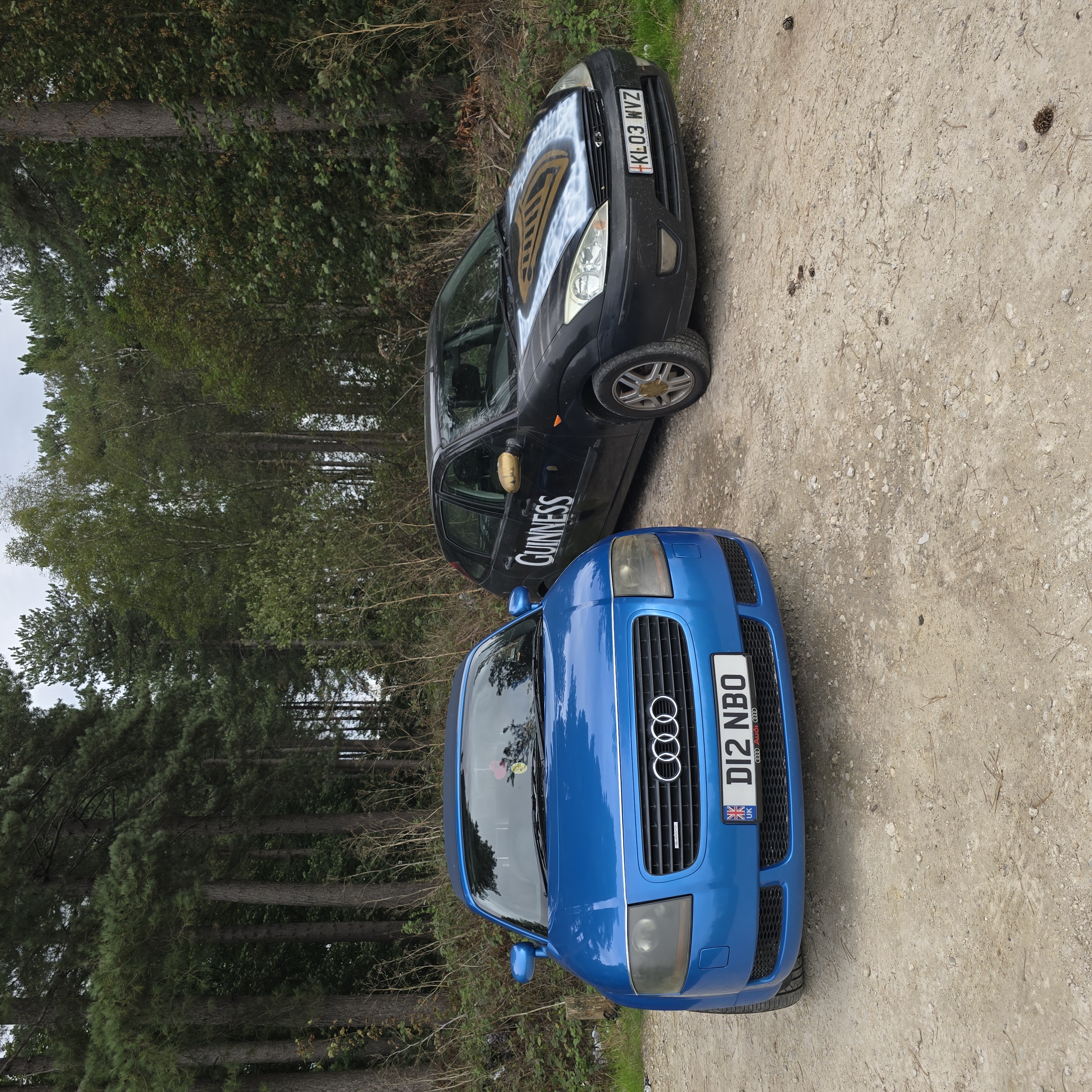 Ford Focus Guiness photo 3