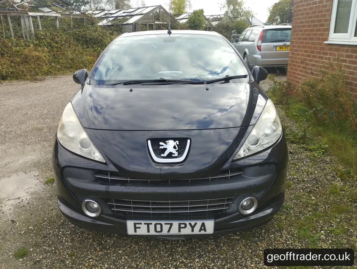 2007 Peugeot 207