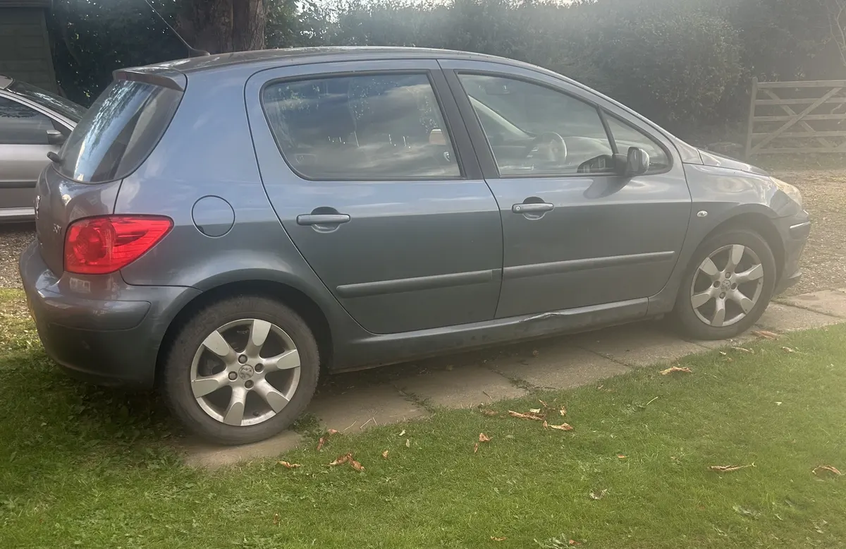 2007 Peugeot 307