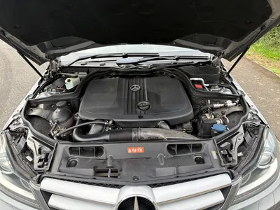2013 Mercedes C220 CDI BlueEfficiency Executive SE G-Tronic+ 7spd Auto 2dr Coupe photo 14