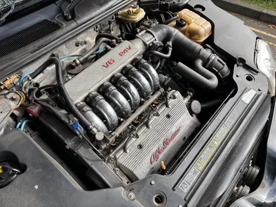 Alfa Romeo GTV V6 - MOT 09/2027 - New Clutch - Clarkson Feature Car photo 5